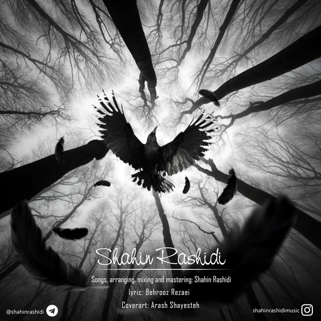 دانلود آهنگ کلاغ